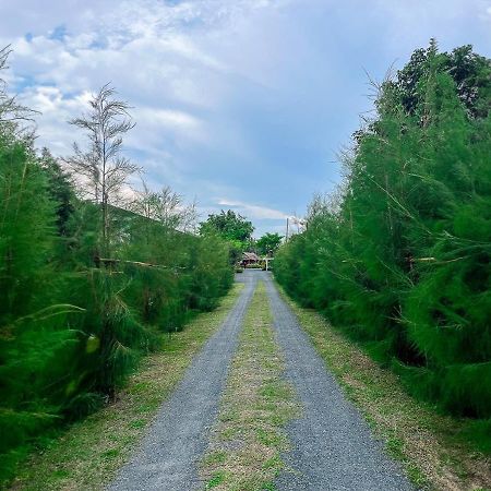 North Pine Forest Homestay บ้านไม้สนโฮมสเตย์ Ban Mae Pong Bagian luar foto