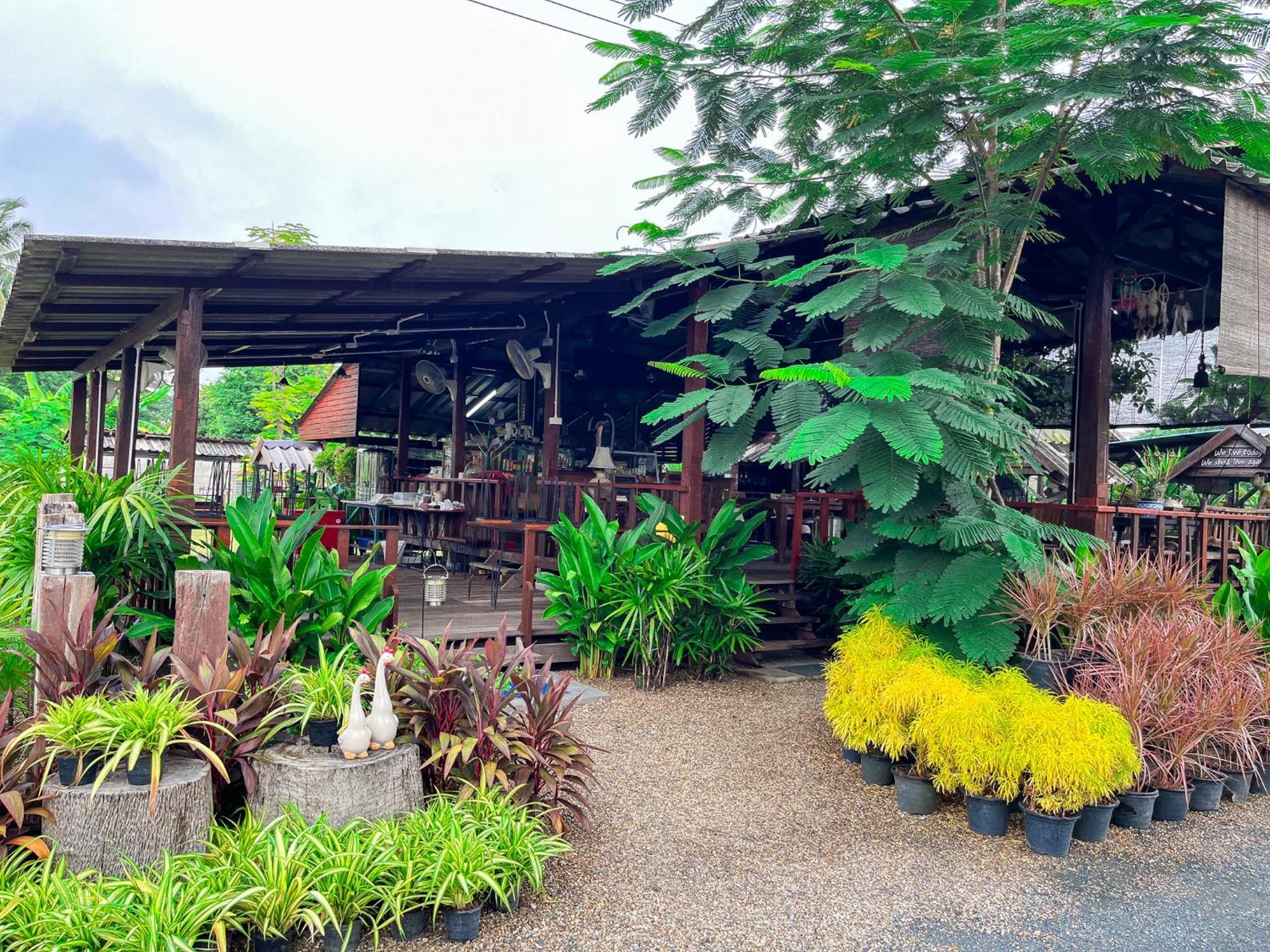 North Pine Forest Homestay บ้านไม้สนโฮมสเตย์ Ban Mae Pong Bagian luar foto