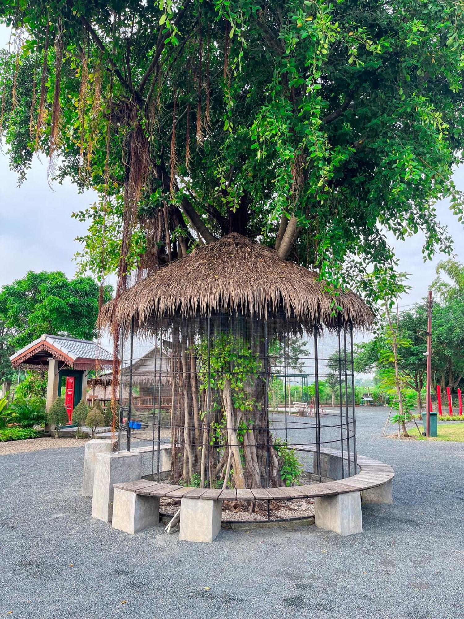 North Pine Forest Homestay บ้านไม้สนโฮมสเตย์ Ban Mae Pong Bagian luar foto