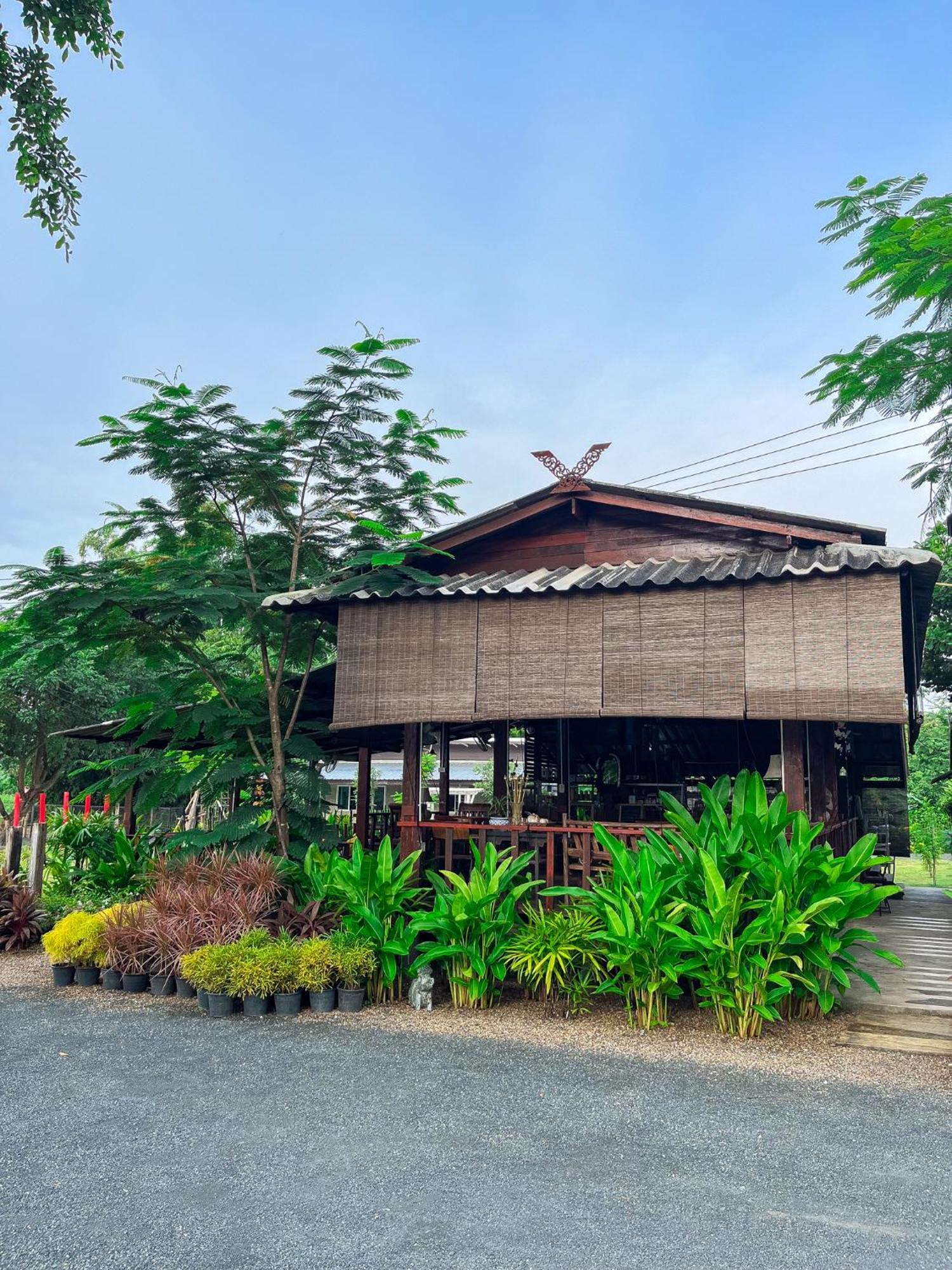 North Pine Forest Homestay บ้านไม้สนโฮมสเตย์ Ban Mae Pong Bagian luar foto