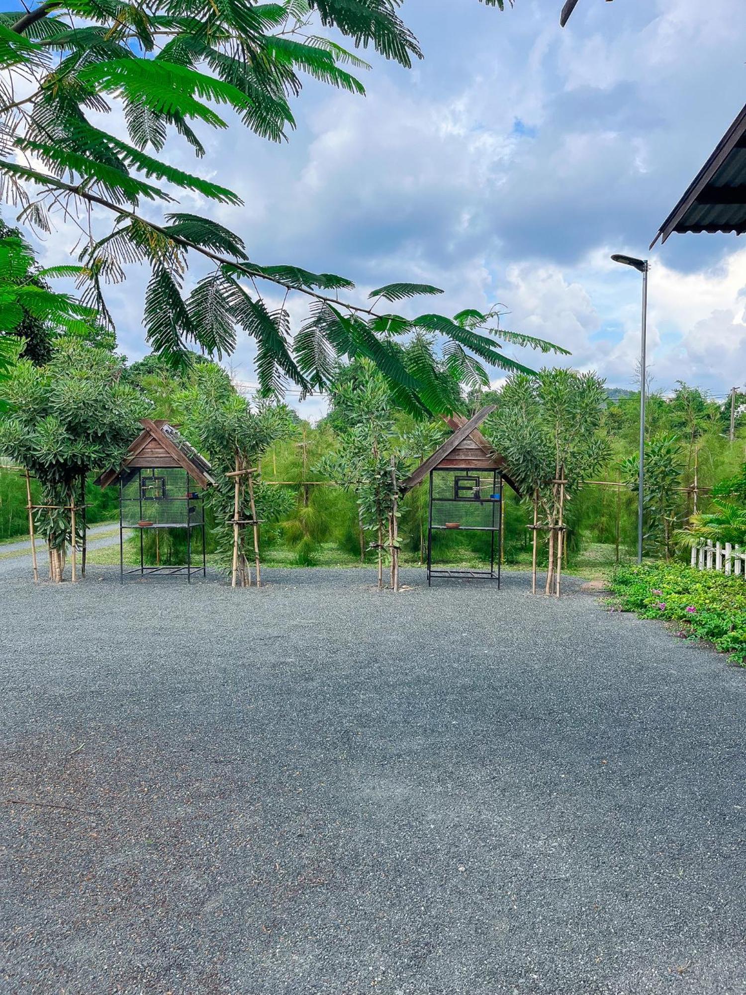 North Pine Forest Homestay บ้านไม้สนโฮมสเตย์ Ban Mae Pong Bagian luar foto