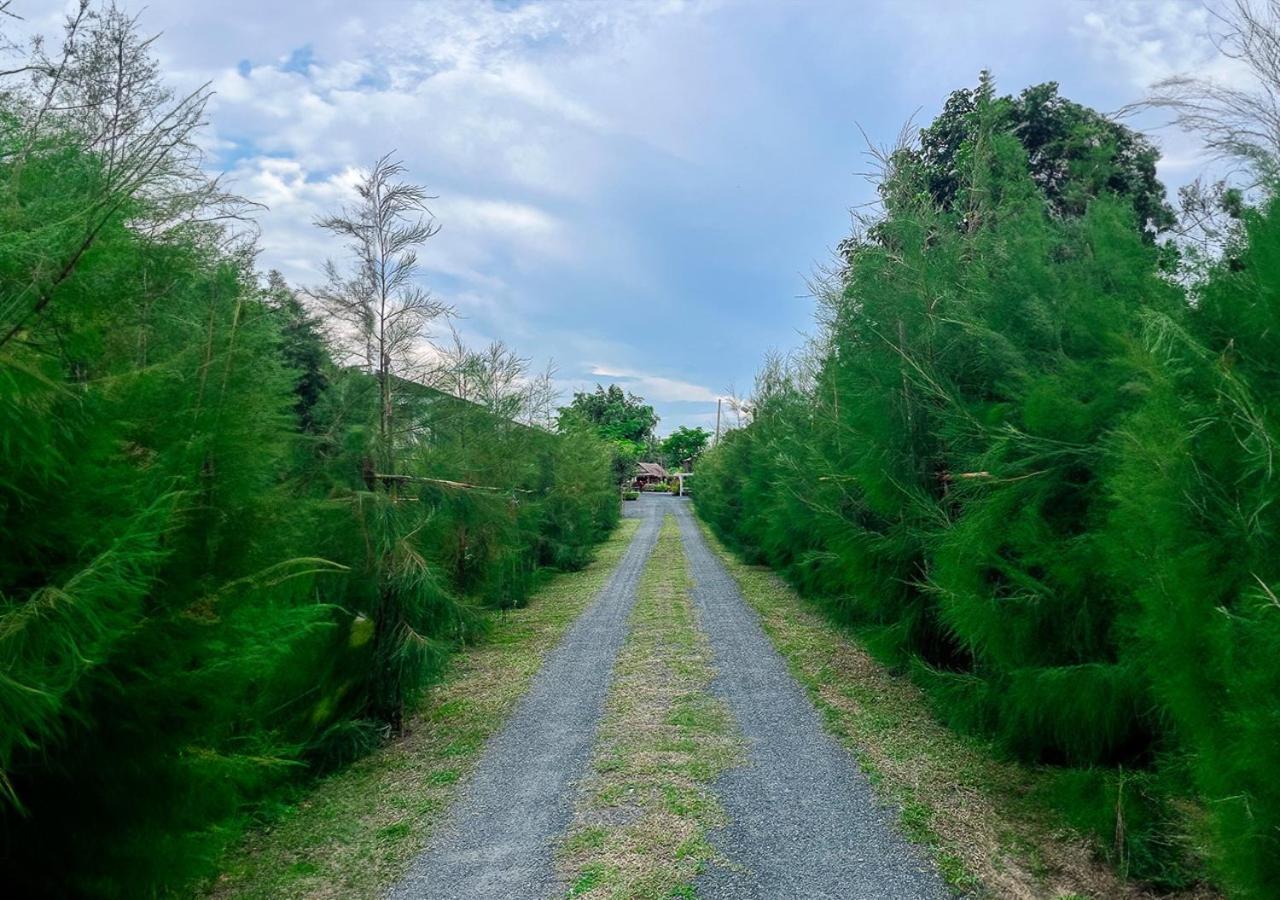 North Pine Forest Homestay บ้านไม้สนโฮมสเตย์ Ban Mae Pong Bagian luar foto